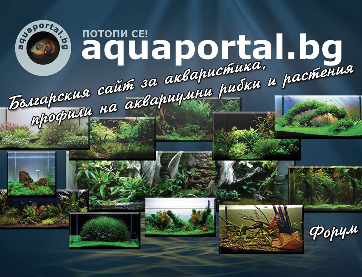 Aquaportal Calendar for 2014