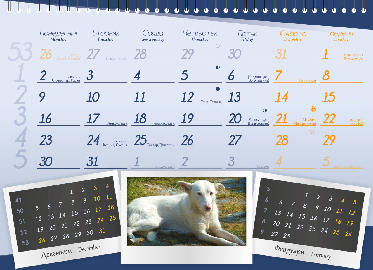 Calendar for ProChema Ltd.