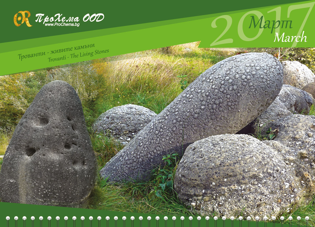 Calendar for ProChema Ltd.
