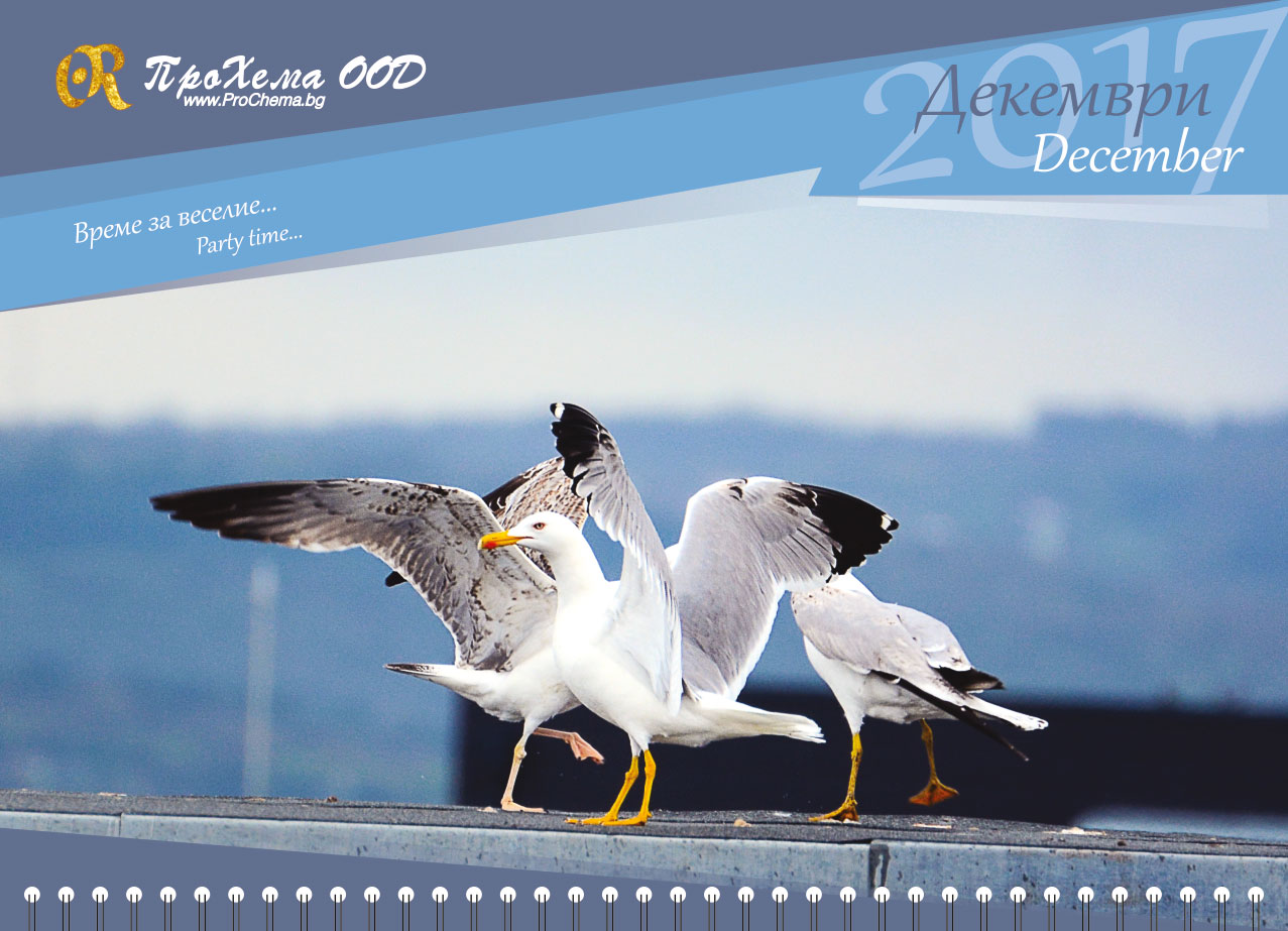 Calendar for ProChema Ltd.