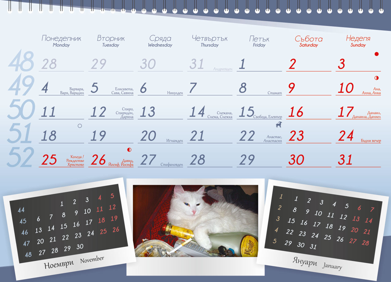 Calendar for ProChema Ltd.