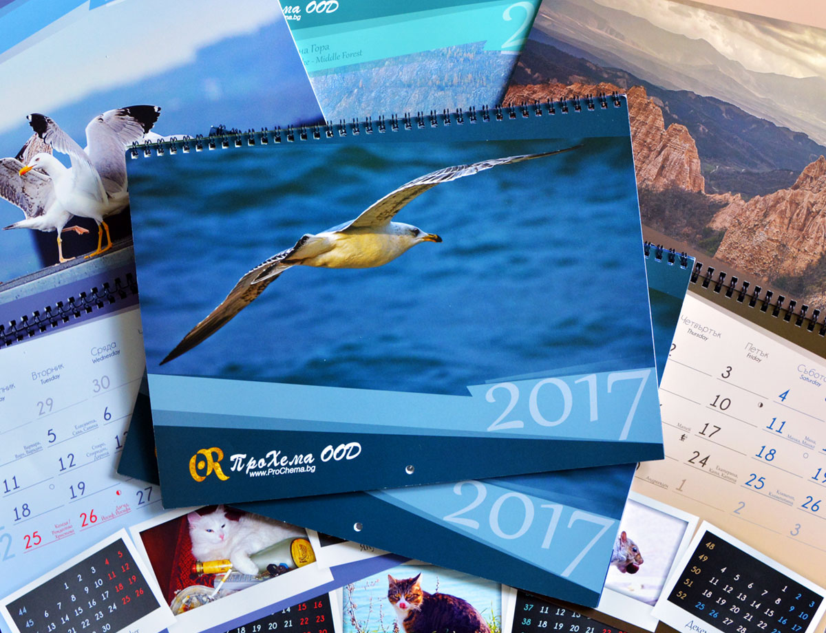 Calendar for ProChema Ltd.